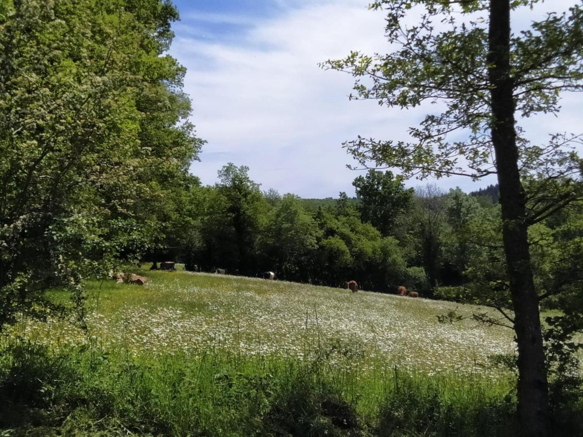 Carazen , Caravane Chauffee Saint-Sylvain-Bellegarde Екстериор снимка